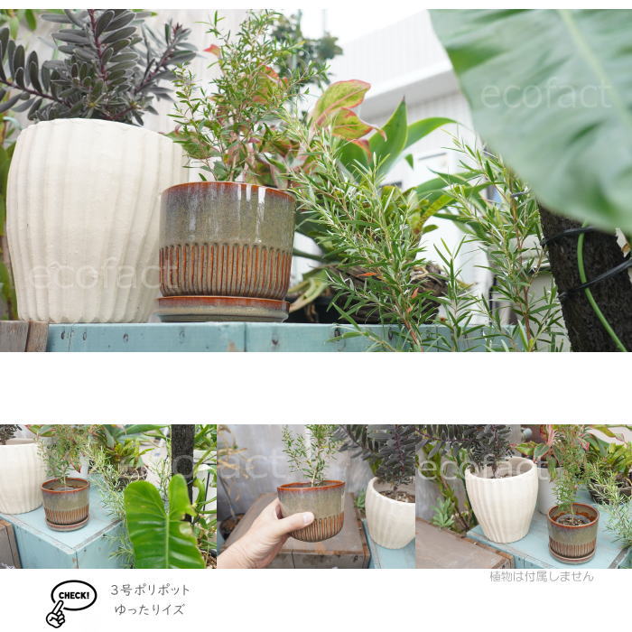 植木鉢 おしゃれ 陶器鉢 フラワーポット ミニポット 底穴あり Streak S