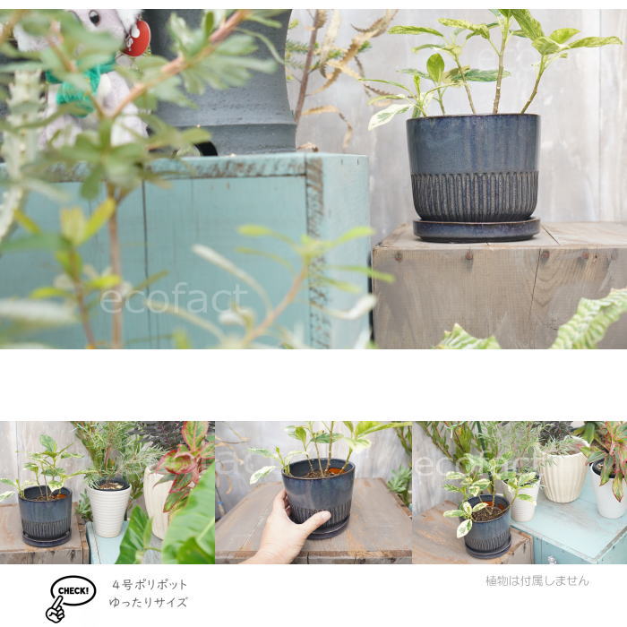 フラワーポッド・フラワーディスプレイ・鉢・観葉植物 円柱 丸型 3個セット 虹色 植木鉢 多肉鉢 飾り 陶器製 ミニ植物