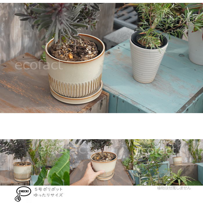 植木鉢 おしゃれ 陶器鉢 フラワーポット ミニポット 底穴あり Streak L