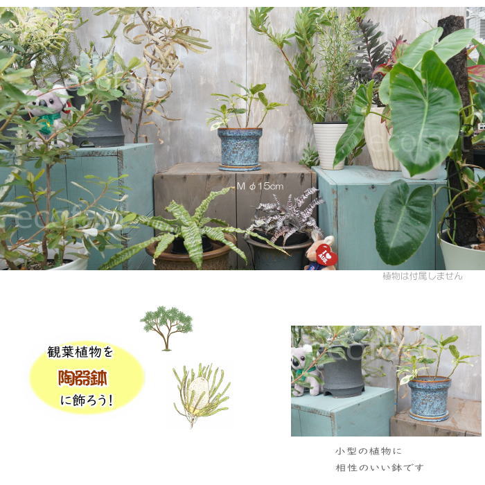植木鉢 おしゃれ 陶器鉢 フラワーポット ミニポット 底穴あり Grit M