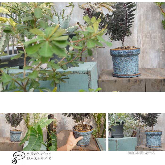 植木鉢 おしゃれ 陶器鉢 フラワーポット ミニポット 底穴あり Grit L