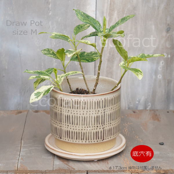 化粧鉢 植木鉢 おしゃれ 陶器鉢 フラワーポット ミニポット 底穴あり Draw M