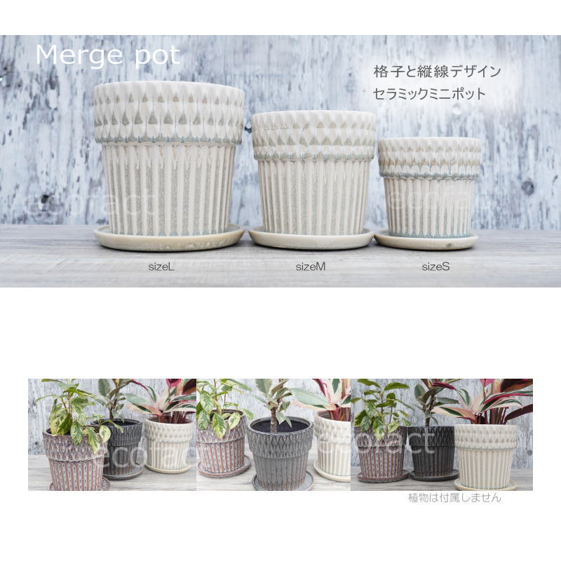ポット 鉢 植木鉢 プランター おしゃれ 陶器 φ16.3cm Merge L ホワイト