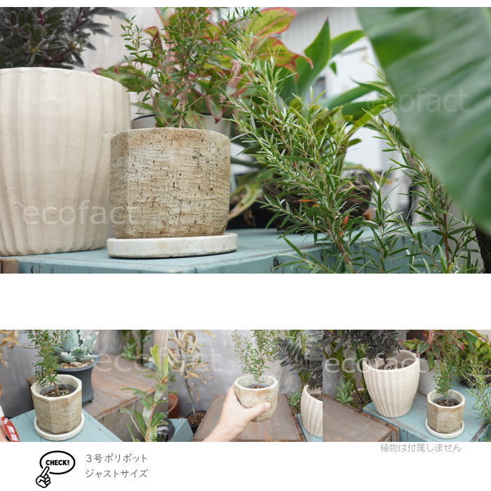 植木鉢 おしゃれ セメント鉢 フラワーポット ミニポット 底穴