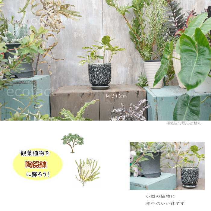 植木鉢 11鉢セット ① 植木鉢 プラ鉢 セラアート 長鉢 4寸 5鉢セット 色アソート可