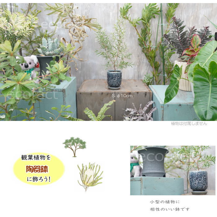 盆栽鉢、ミニ鉢、陶器製 植木鉢 排水穴付き 植木鉢 おしゃれ 陶器鉢 フラワーポット ミニポット 底穴あり