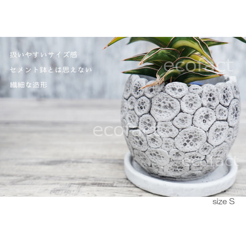 ポット 鉢 植木鉢 プランター おしゃれ セメント鉢 φ12cm ディノエッグ