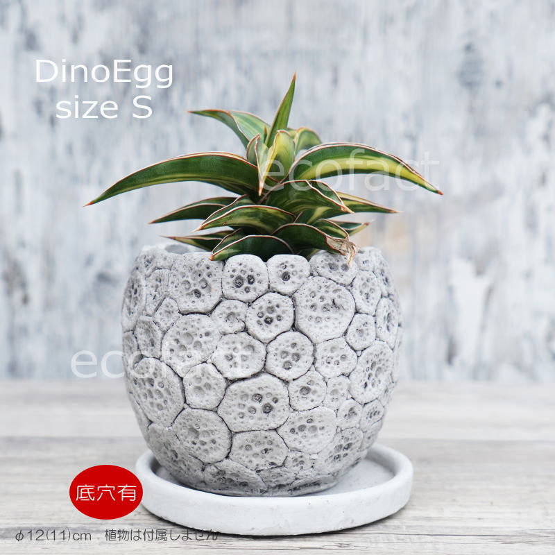 盆栽鉢 長方鉢 植木鉢 陶器 園芸 ガーデニング ポット 鉢 植木鉢 プランター おしゃれ セメント鉢 φ12cm ディノエッグ