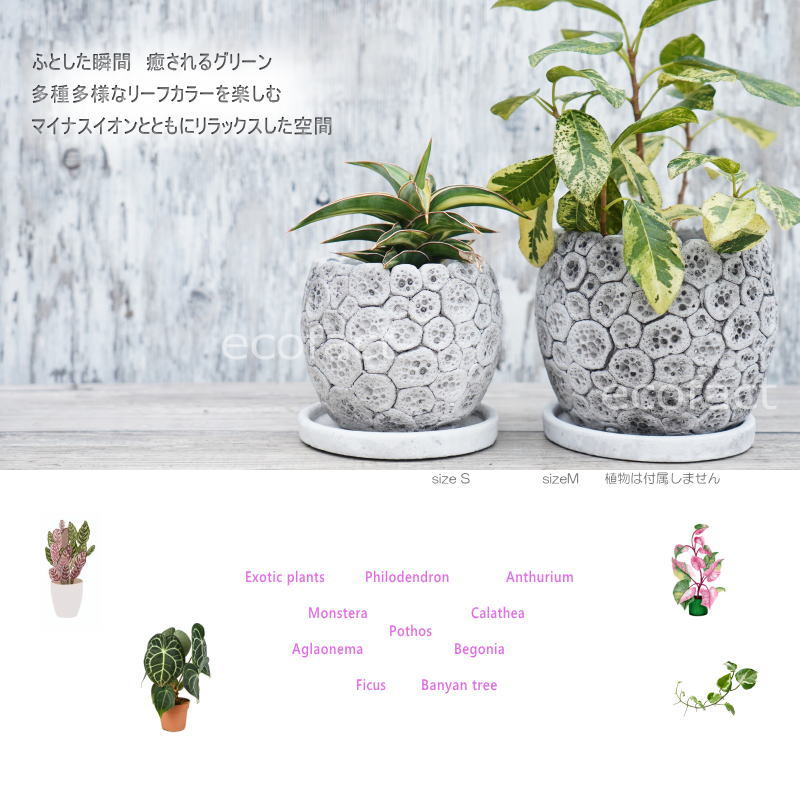 ポット 鉢 植木鉢 プランター おしゃれ セメント鉢 φ12cm ディノエッグ