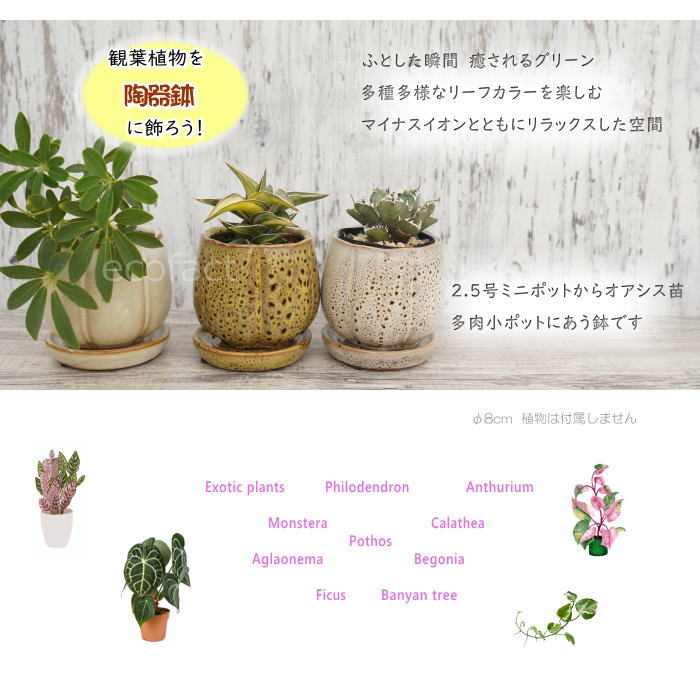 【るな】フラワーポット　5個セット 718KA140ArL._UF894,1000_QL80_.jpg