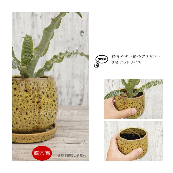 植木鉢 おしゃれ 陶器鉢 フラワーポット ミニポット 底穴あり