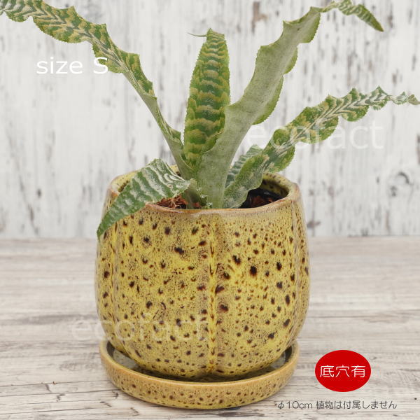 植木鉢 おしゃれ 陶器鉢 フラワーポット ミニポット 底穴あり