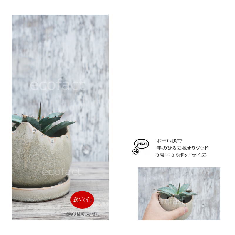 ポット 鉢 植木鉢 プランター おしゃれ 陶器 φ12cm Solmero S グレー