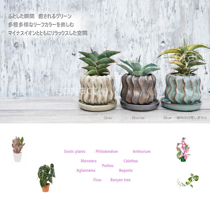 ポット 鉢 植木鉢 プランター おしゃれ 陶器 φ11cm Solnats S グレー