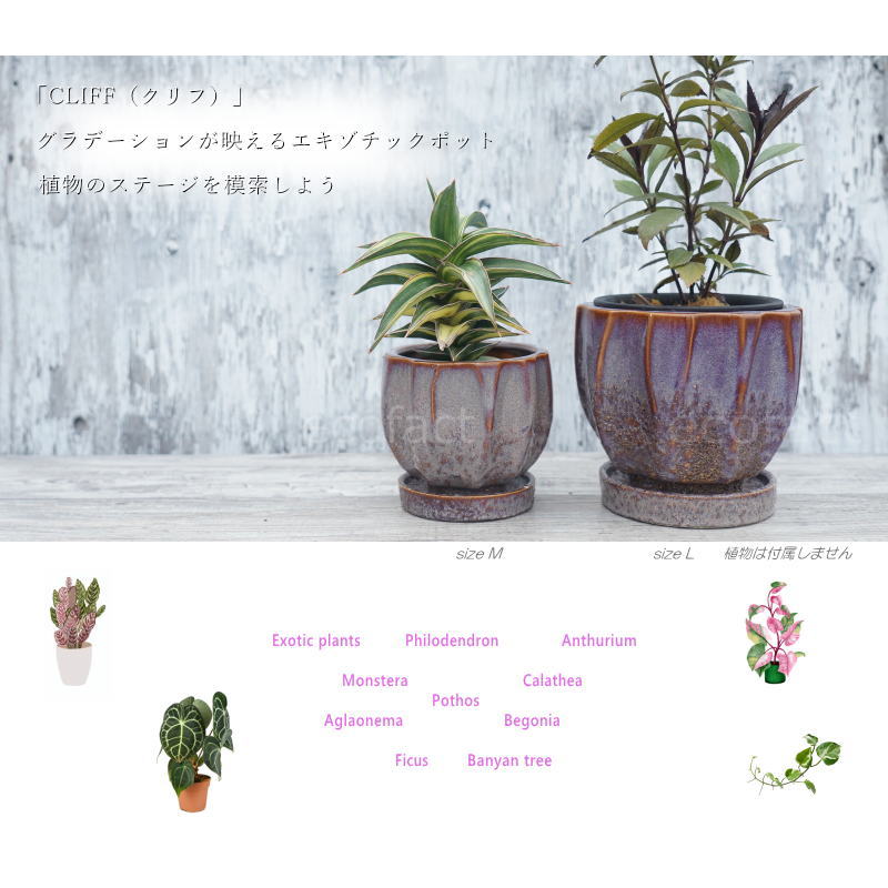 ポット 鉢 植木鉢 プランター おしゃれ 陶器鉢 Sol Cliff L φ14.5