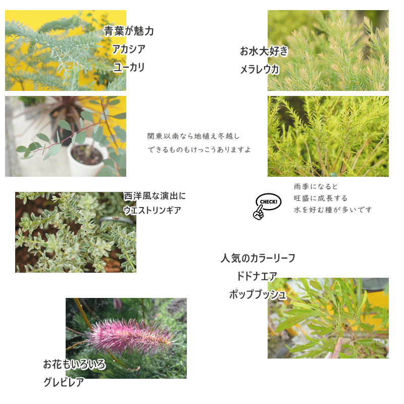 植木鉢 おしゃれ 陶器鉢 フラワーポット ミニポット 底穴あり