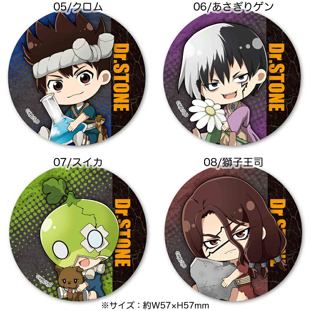 Dr Stone ドクターストーン キーホルダー 缶バッジ クロム 新品