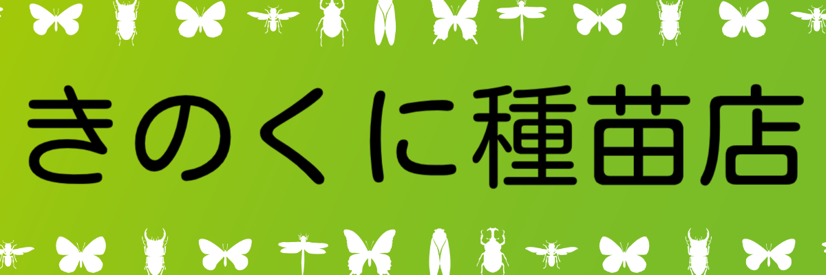 きのくに種苗店 ヘッダー画像