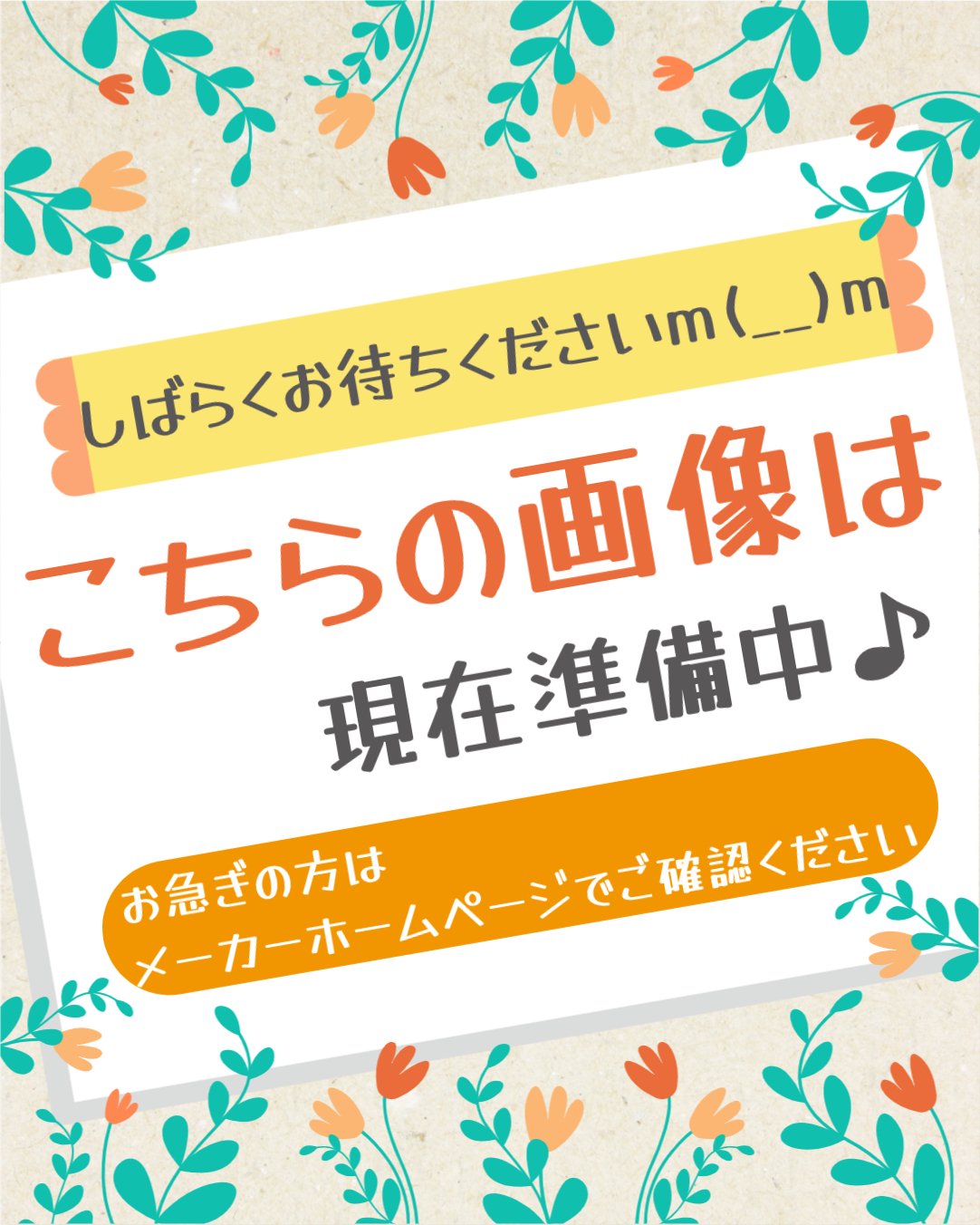 3袋以上でクーポン割引 みつば 三つ葉 三葉 種 郵便は送料無料 : きの