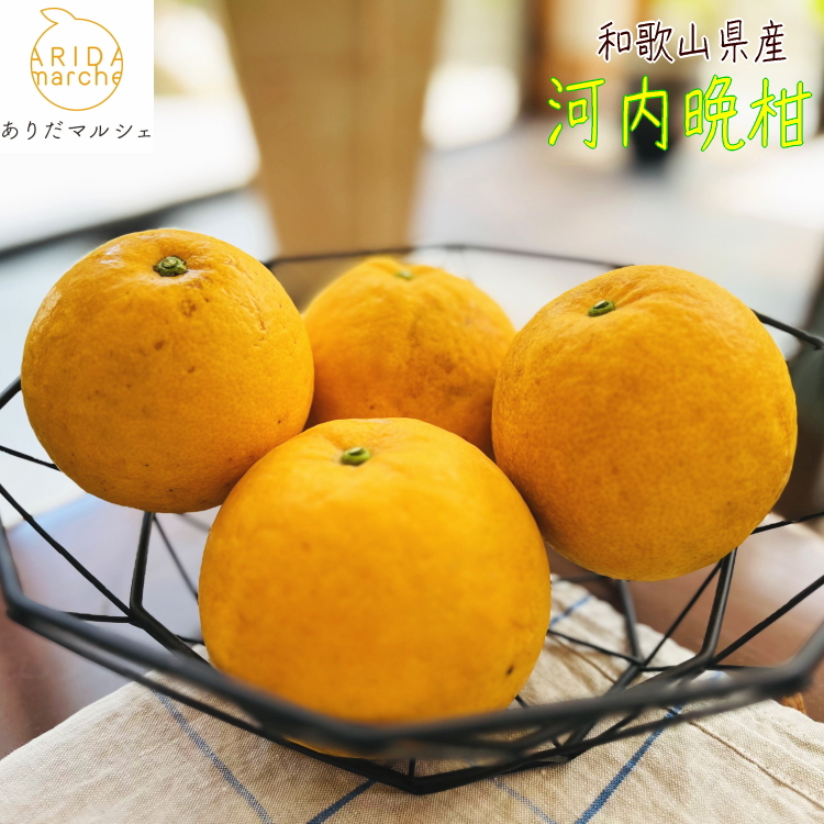 河内晩柑
