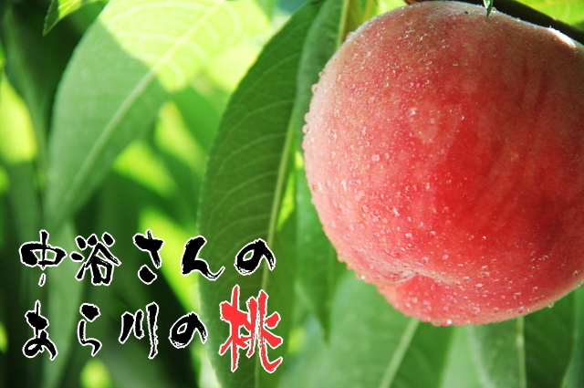 あら川の桃