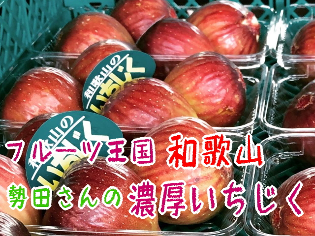 勢田さんの濃厚完熟いちじく