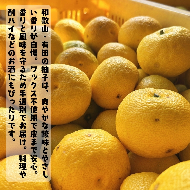 紀州和歌山有田の柚子(ゆず) (ご家庭用) 10kg_ 果物 フルーツ 農家直送