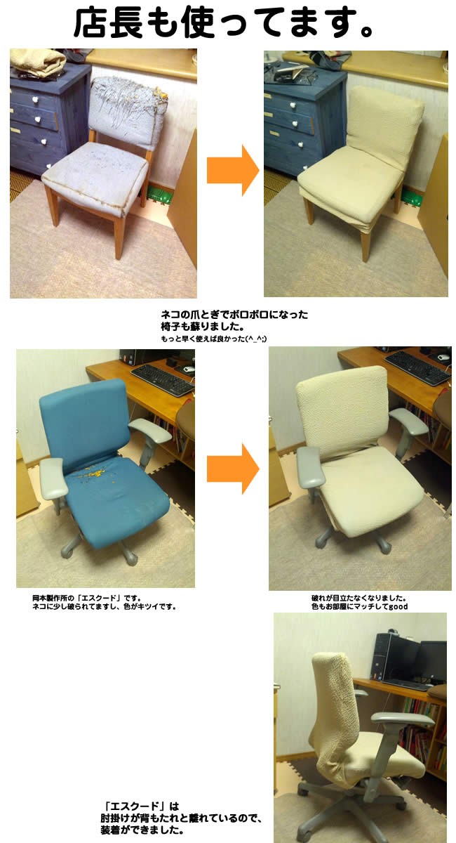 椅子カバー 座椅子カバー チェアカバー 洗える4色 伸縮 ストレッチ クレア :chaircover:ラグ・カーテン・こたつはアーリエ - 通販 -  Yahoo!ショッピング