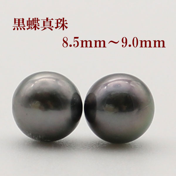 真珠 ピアス イヤリング 黒蝶真珠 パール ペアー 8.5mm-9mm