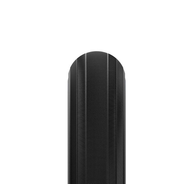 Panaracer（パナレーサー） 2本セット GRAVELKING PLUS グラベルキング