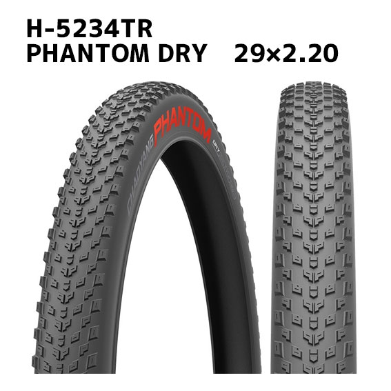 チャオヤン CHAOYANG PHANTOM SPEED/DRY/WET 29×2.20 ブラック