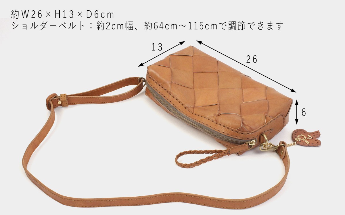 robita ショルダーバッグ 2WAY バッグ メッシュレザー anyam nya