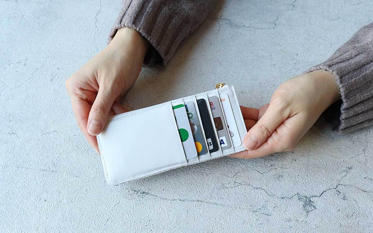 VIADOAN（ヴィアドアン） ミニ財布 フラグメントケース ドアン Bran