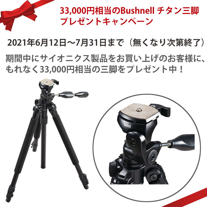 三脚プレゼント