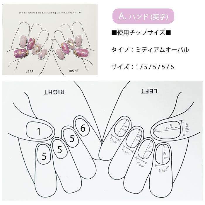 ネイルアート サンプル台紙 ハンド用 フット用 【2枚セット