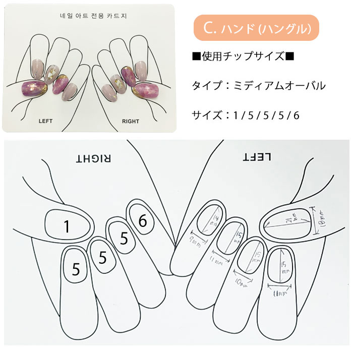 ネイルアート サンプル台紙 ハンド用 フット用 【2枚セット】ネイル