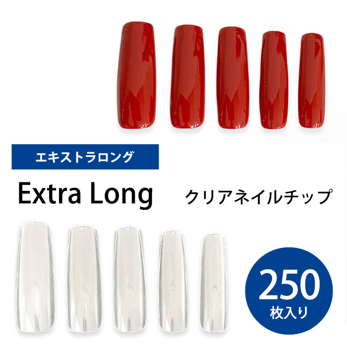 ネイルチップ クリア 透明 【 エキストラロング 】 《 10サイズ 各25枚 》 合計250枚 クリア ネイル セット 透明 ネイルチップ クリアネイルチップ