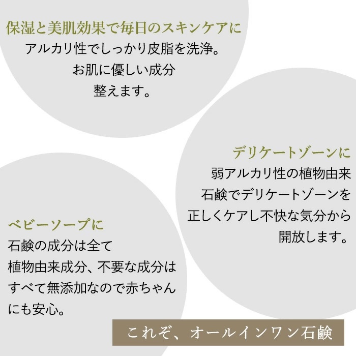 正規代理店】天恵石鹸 天恵クオリティソープ 80g プラスケア 無添加