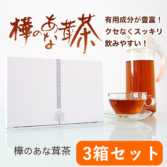 正規代理店 【お得な3箱セット】樺のあな茸茶 カバノアナタケ茶 国産 ティーバック 天然カバノアナタケ100% ノンカフェイン あなたけ茶 チャーガ  プラスケア