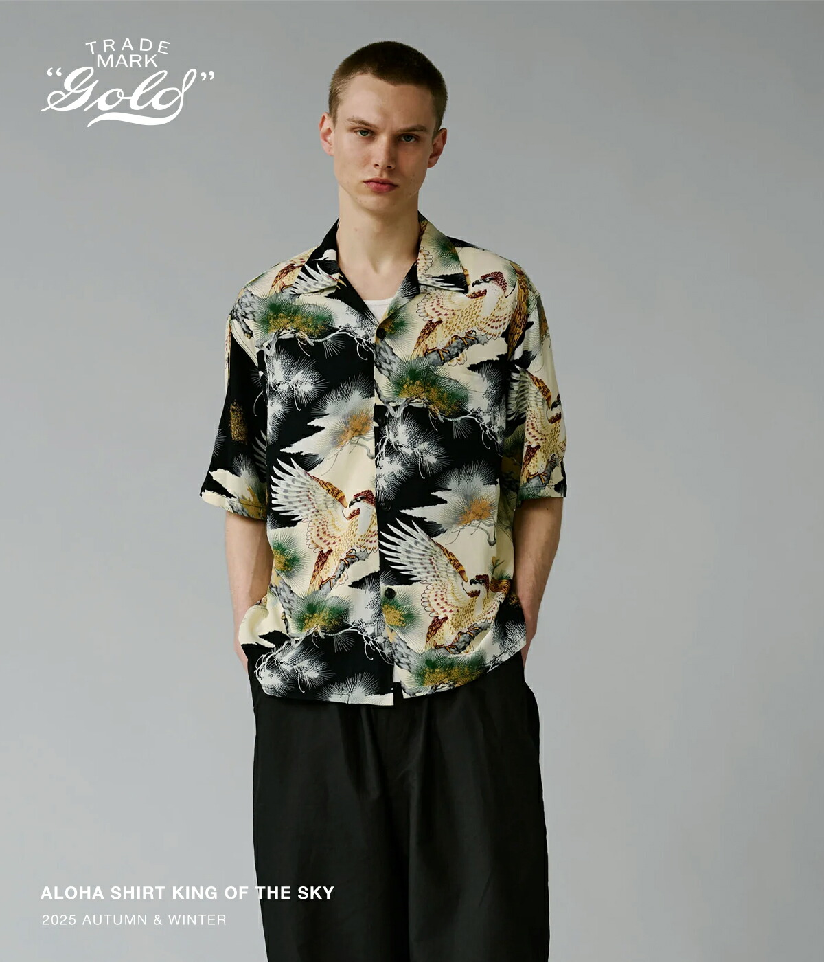 東洋エンタープライズ GOLD / ゴールド ： ALOHA SHIRT KING OF THE SKY ： 25B-GL39545の画像