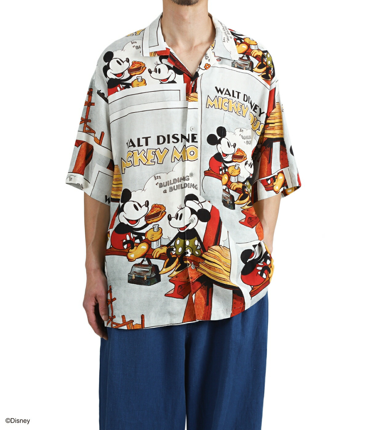 PORTER CLASSIC　DSNY VC-ALOHA SHIRTS PORTER CLASSIC（ポータークラシック） ： DISNEY VP / PC ALOHA