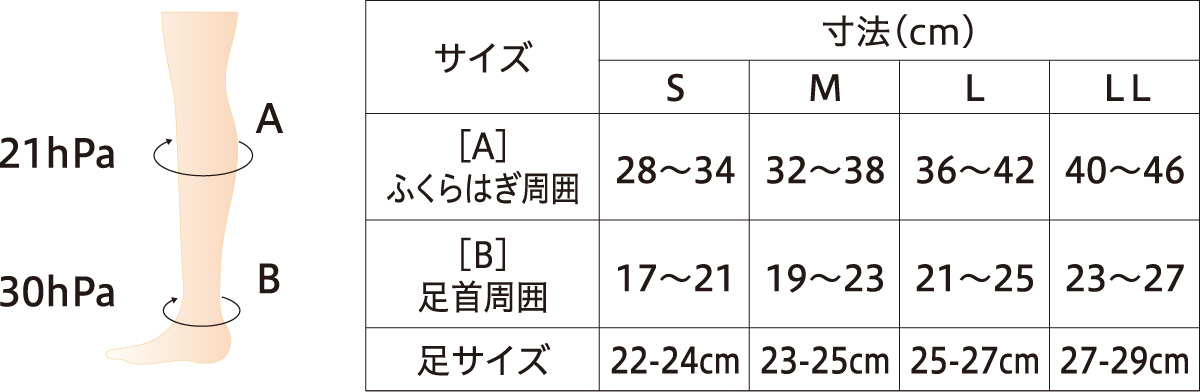 Dr.feel 医療用弾性ソックス サイズ表