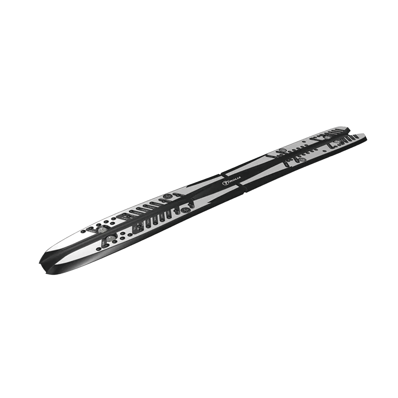 スキーポール ストック 2本セット 軽量 カーボン 固定式 大人 メンズ