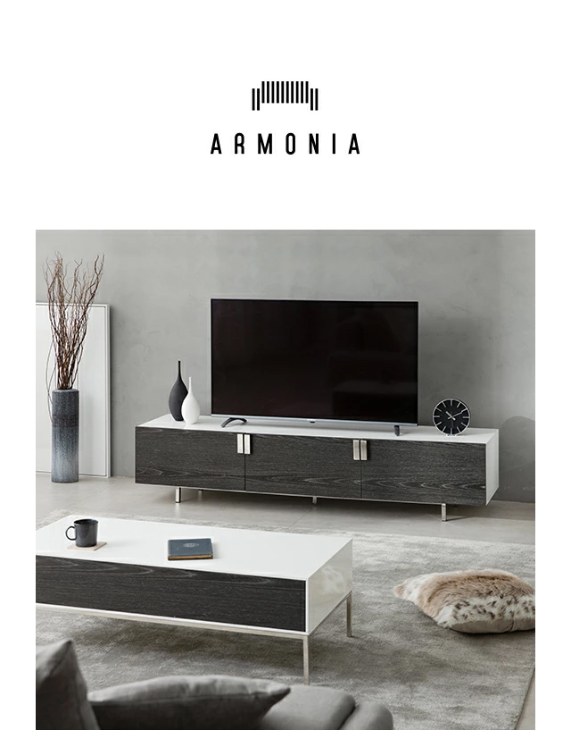 ARMONIA テレビ台 テレビボード TV台 AVボード Endio 2000 木製 ARMONIA テレビ台 テレビボード TV台 AVボード Endio 2000 木製