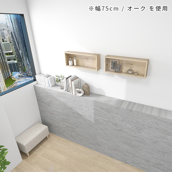 ウォールラック ラック 扉付き ウォールシェルフ 壁掛け収納 壁掛け棚