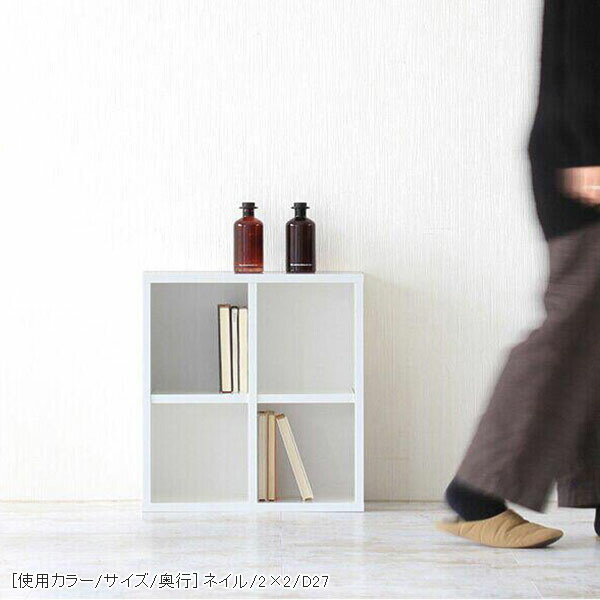 arne（アーネ） オープンラック シェルフ 幅50 ミニラック 2段 棚 白