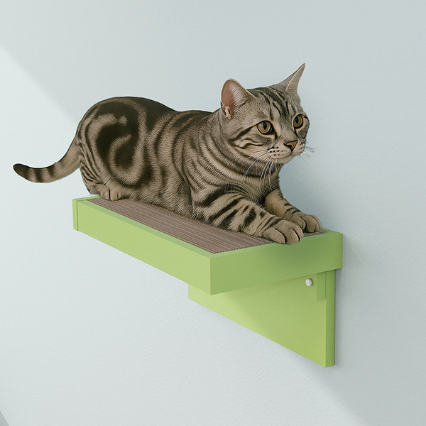 キャットウォーク 賃貸 キャットステップ 石膏ボード 猫 ステップ 爪