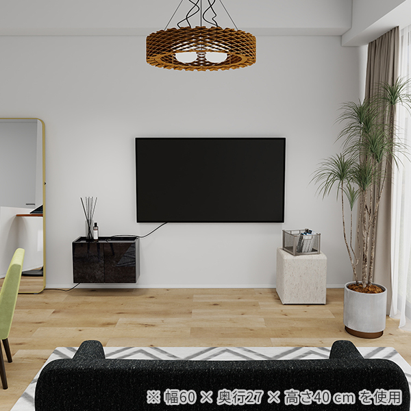 arne（アーネ） TVボード ウォールシェルフ フロートテレビボード