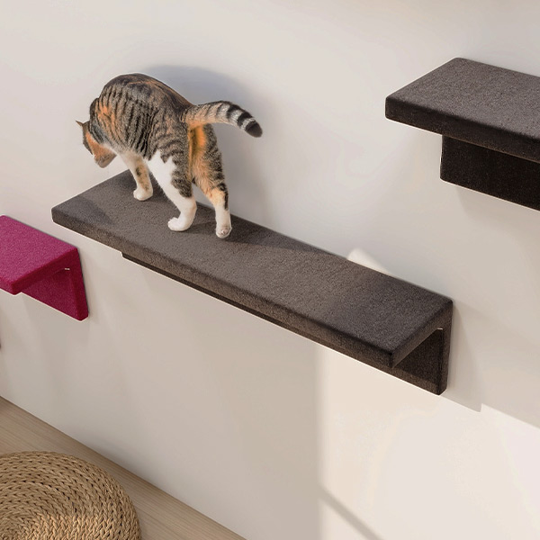 キャットウォーク 猫用 石膏ボード 賃貸 猫 ステップ 階段 キャット
