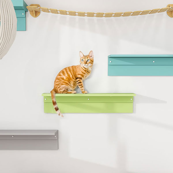 キャットウォーク 猫 壁 棚 ウォールシェルフ 90 石膏ボード キャット